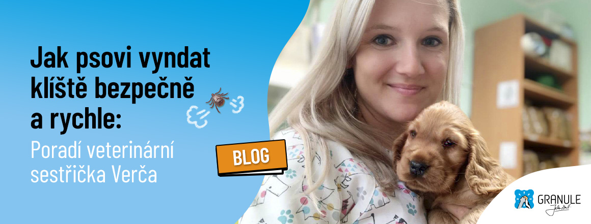 CZ_web_1160x441_blog_2026_navod_od_veterinarni_sestricky[1]